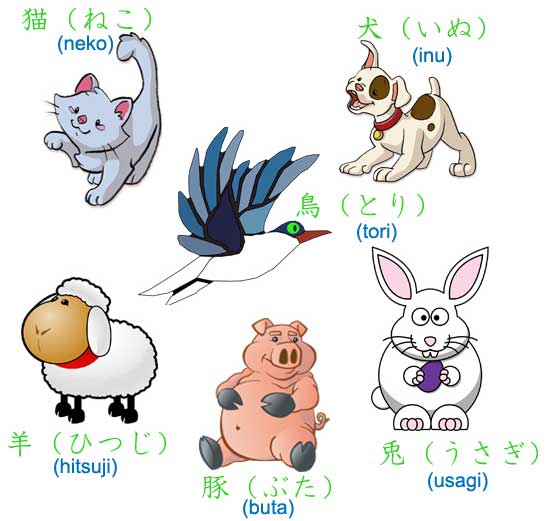 Từ vựng tiếng Nhật chủ đề động vật