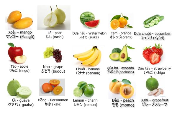 Cùng học từ vựng tiếng Nhật theo chủ đề trái cây
