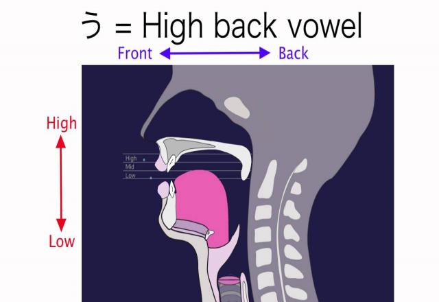 3 nguyên tắc để học cách phát âm tiếng Nhật chuẩn như người bản xứ.