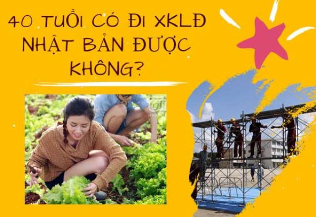 Người trung tuổi học tiếng Nhật để đi xuất khẩu có khó không ?