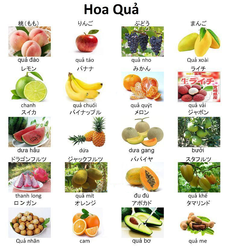 Học tiếng Nhật qua cách loại quả